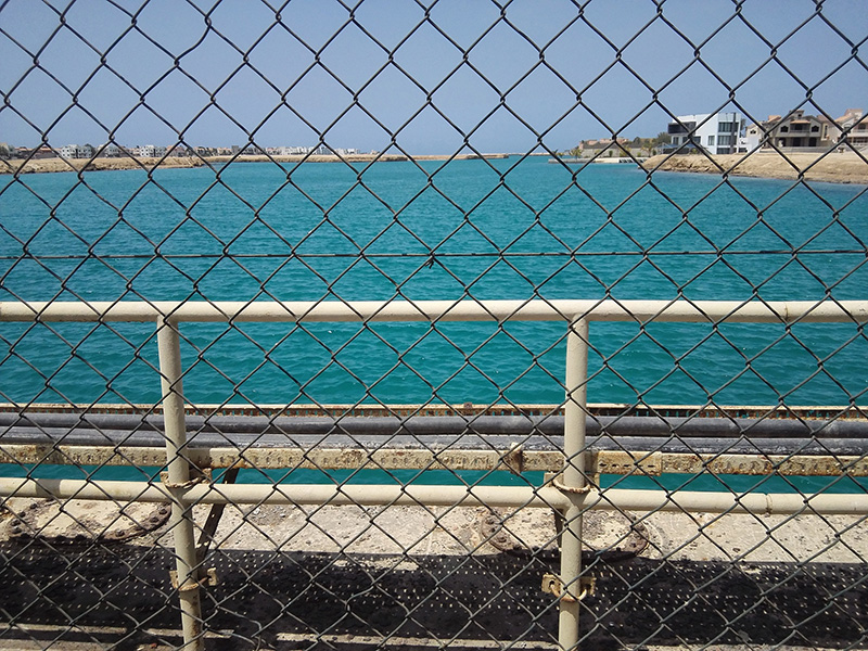 Steel Wire Mesh: The 