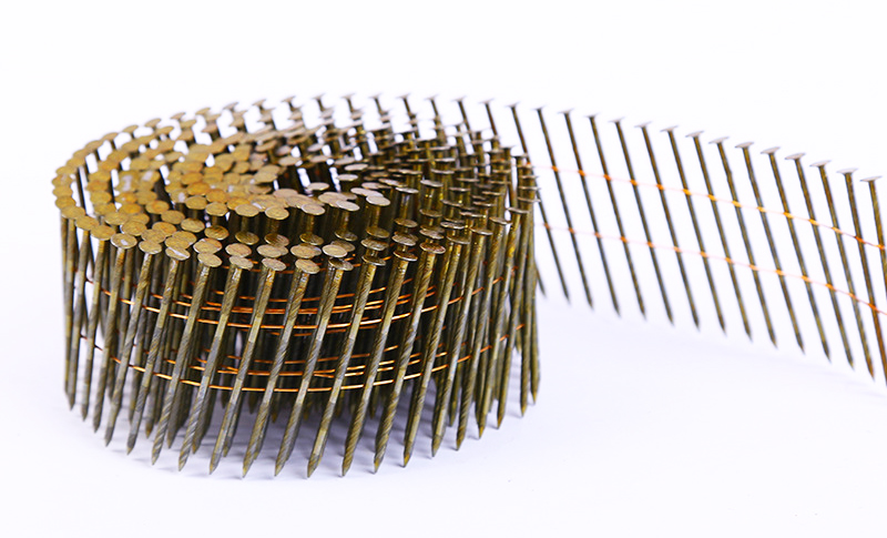 Coil Nails: A Pioneering Fastener for Multi-Domain Applications